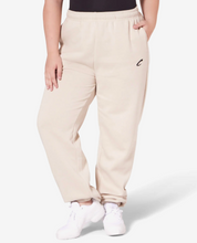 Load image into Gallery viewer, CAPEZIO Varsity Sweatpants F6006U