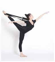 Load image into Gallery viewer, Flexistretcher
