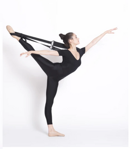 Flexistretcher
